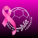 🎃 STAGE DE LA TOUSSAINT – HBC LAURENTIN 🤾